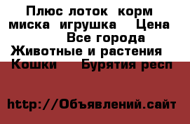 Плюс лоток, корм, миска, игрушка. › Цена ­ 50 - Все города Животные и растения » Кошки   . Бурятия респ.